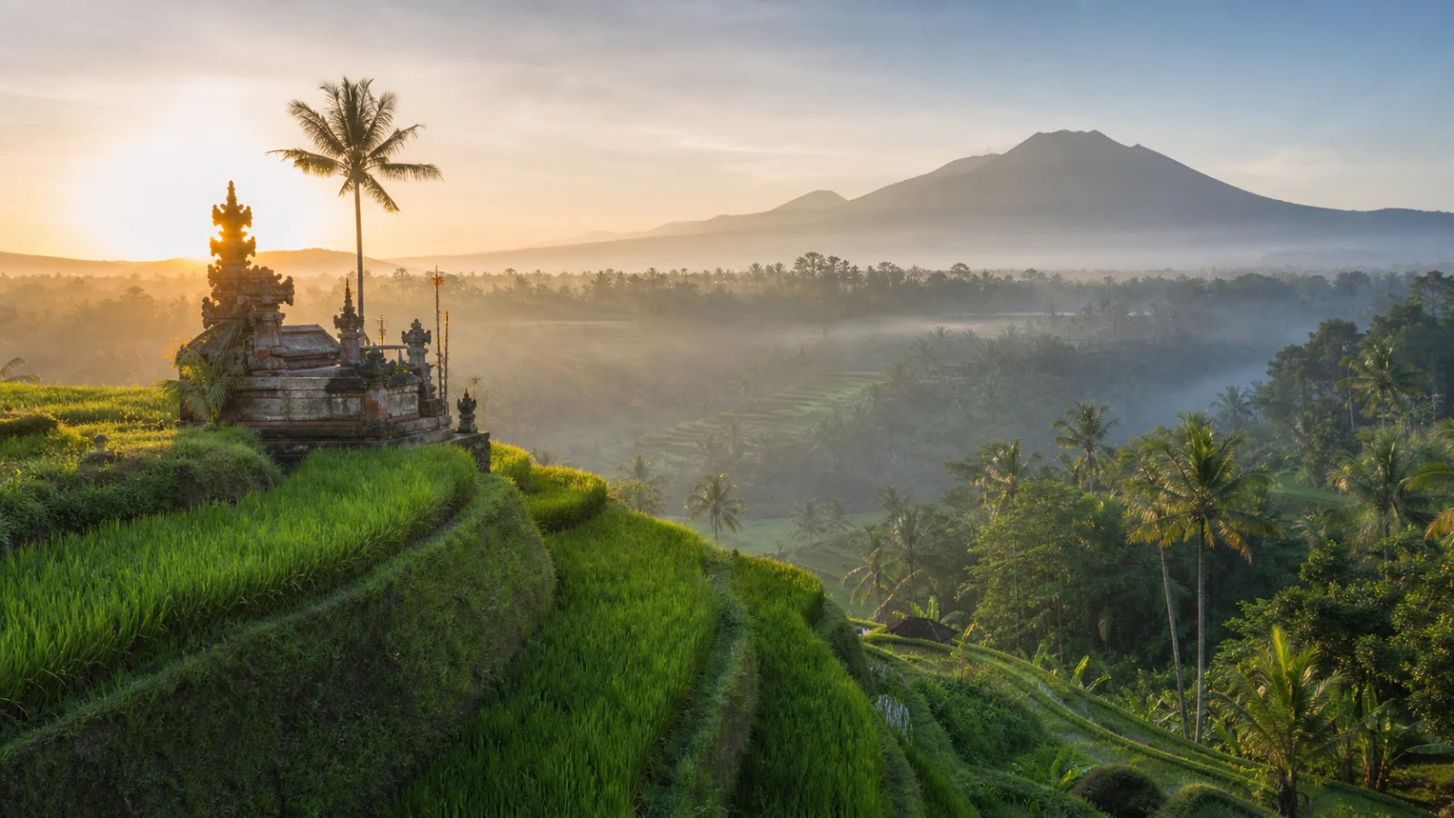 Bali Digital Nomad Guide: Visa, Budget, Internet, and Where to Stay